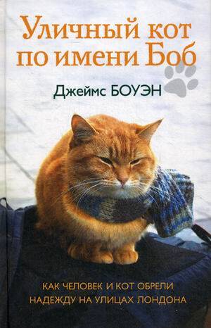 Уличный кот по имени Боб.Как человек и кот обрели