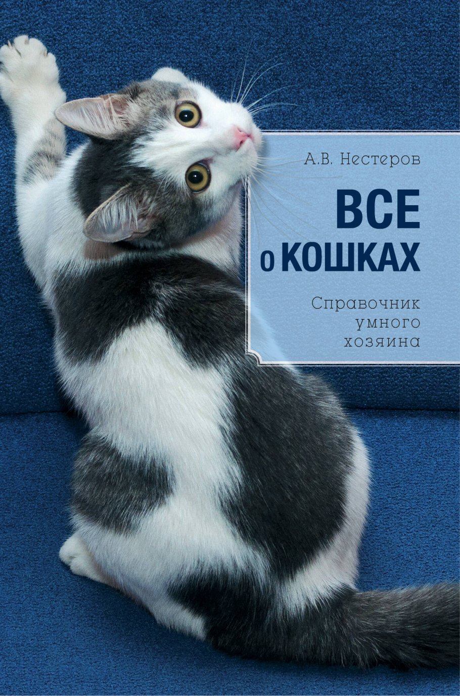 Все о кошках