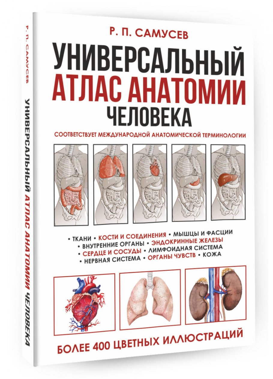 Анатомия Человека Книга Купить