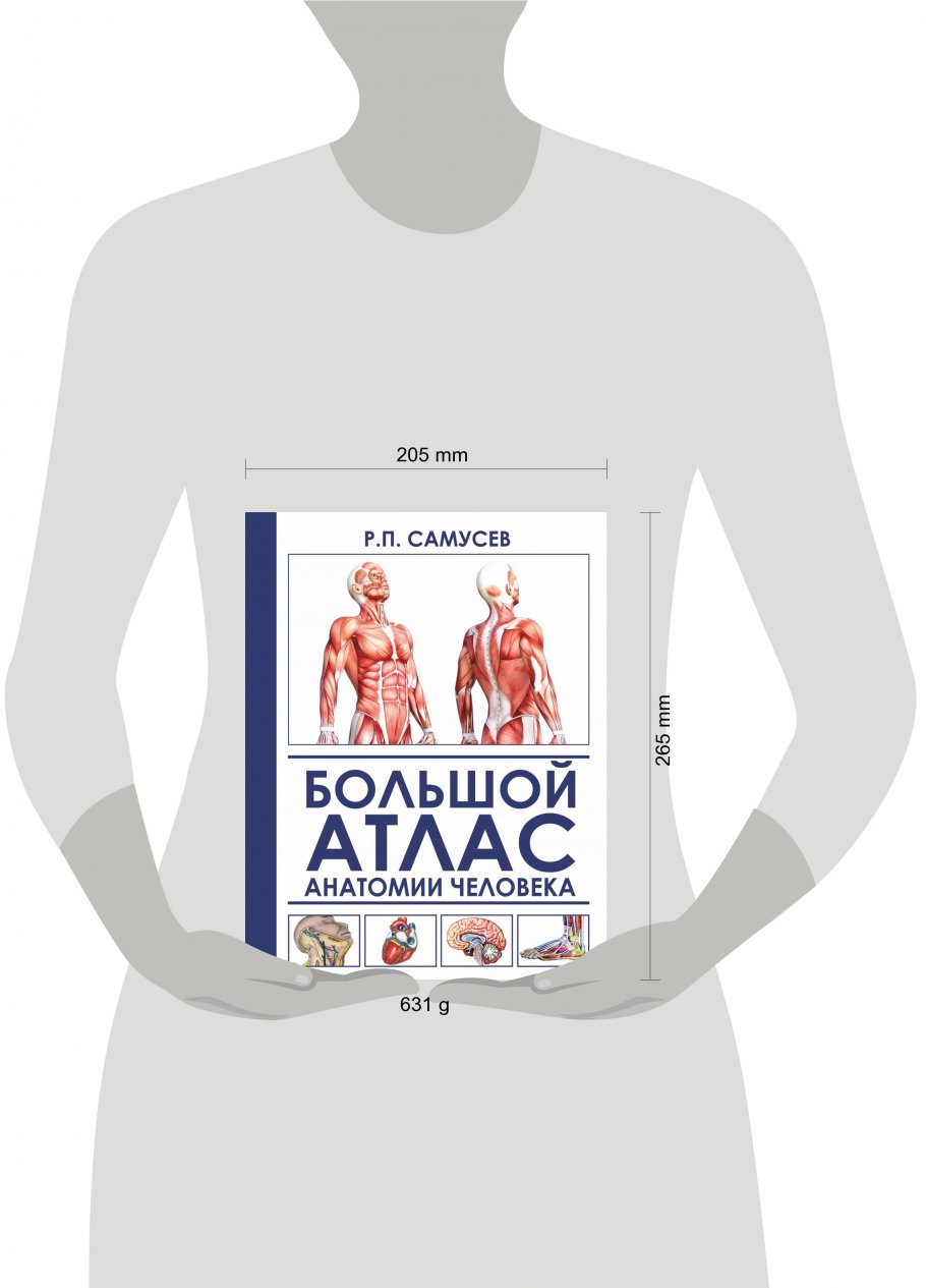 Атлас Анатомии Человека Курепина Воккен Купить
