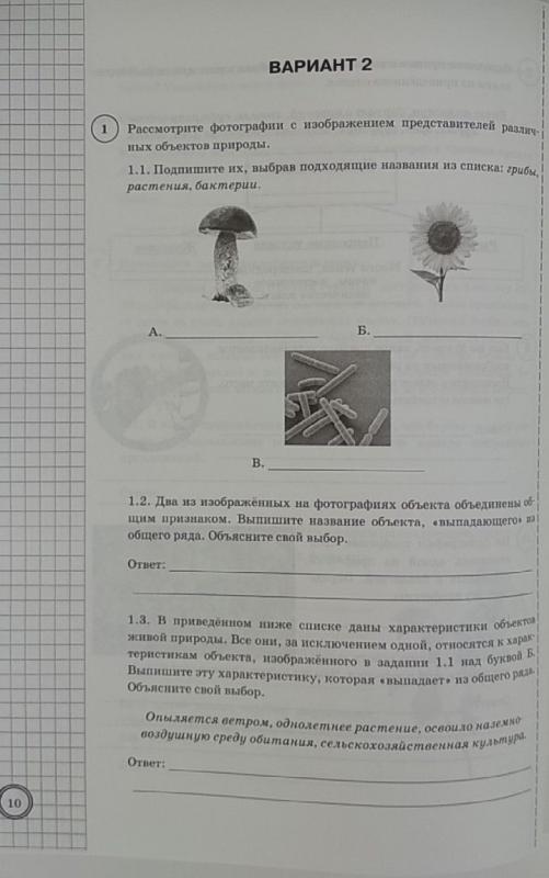 Рассмотрите фотографии с изображением представителей различных объектов природы 2 вариант