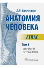 Анатомия человека.Т.3.Неврология, эстезиология