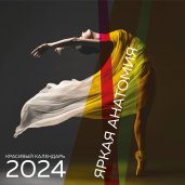 Яркая анатомия. Календарь настенный на 2024 год (300х300)