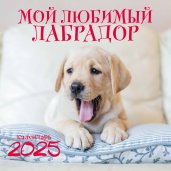 Мой любимый лабрадор. Календарь настенный на 2025 год (300х300 мм)