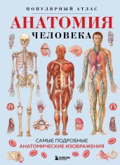 Анатомия человека. Популярный атлас. Самые подробные анатомические изображения