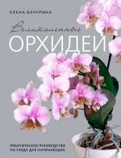 Великолепные орхидеи. Практичное руководство по уходу для начинающих