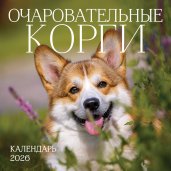 Очаровательные корги. Календарь настенный на 2026 год (300х300 мм)