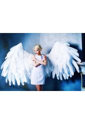 Холст с красками для рисования по номерам "Ангел с роскошными крыльями" (арт. Х-8641)
