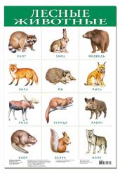 Плакат.Лесные животные