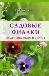 Садовые фиалки