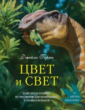 Цвет и свет