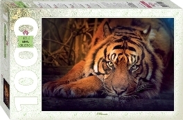 Пазлы-1000. Сибирский тигр
