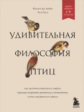 Удивительная философия птиц. Как ласточки относятся к смерти, горлицы сохраняют романтику в отношениях, а утки спасаются от стресса