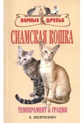 Сиамская кошка