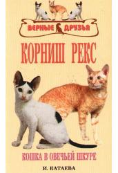 Корниш рекс