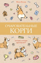 Очаровательные корги: походка, которая вдохновляет!