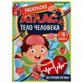 Внутренние органы. Раскраска. Атлас. Тело человека. 16 наклееек. 214х290 мм.16 стр. Умка. в кор.50шт